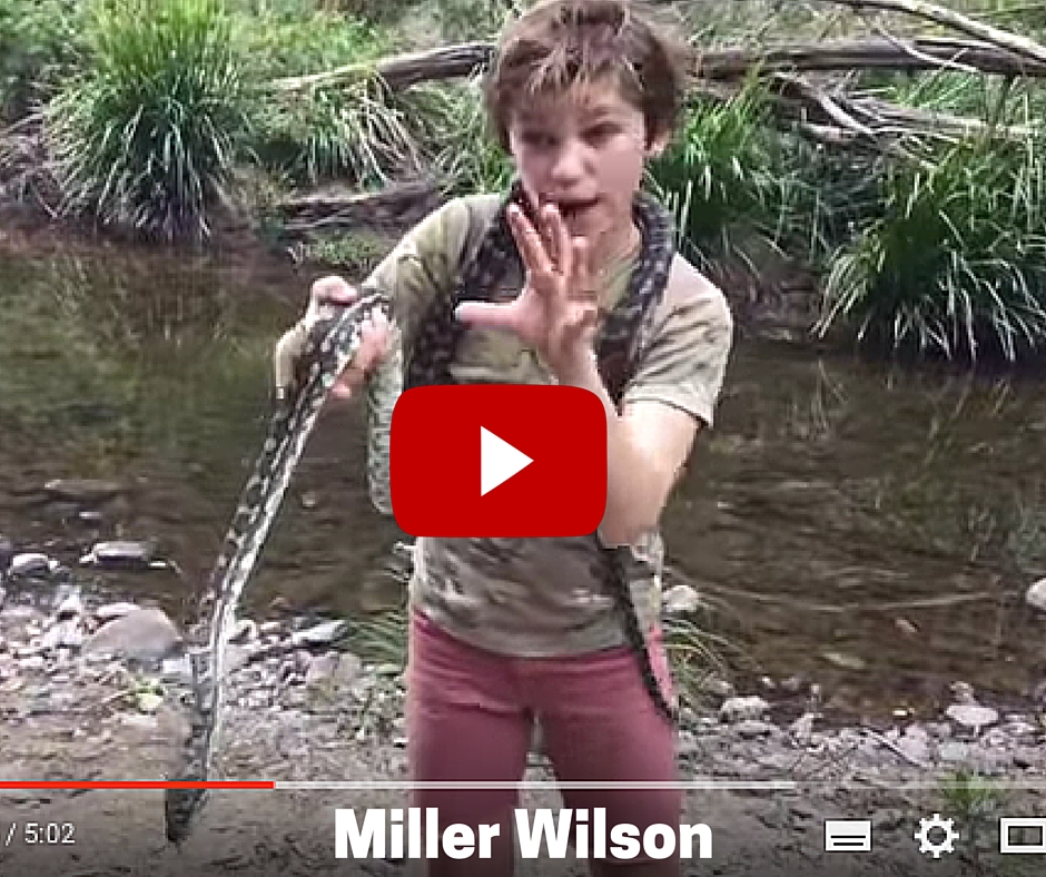 Meet Miller Wilson